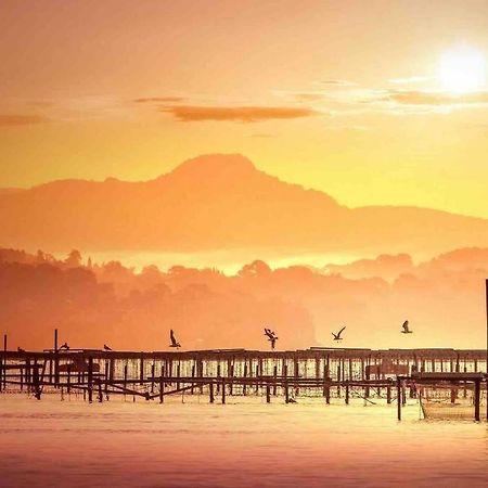 Villa Del Mare La Seyne-sur-Mer Esterno foto